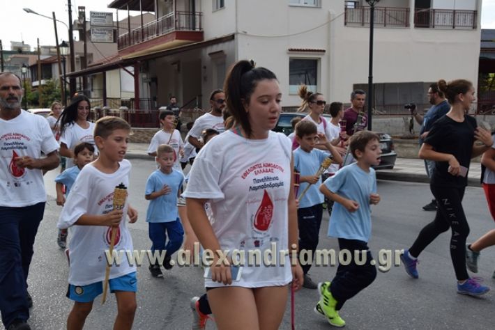 _lampadidoforeia_agaphs_alexandreia17_853 (84)